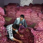 Central Government Imposed Ban on Export of Onion