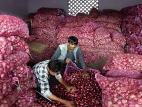 Central Government Imposed Ban on Export of Onion