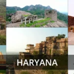 Controversy of 2023 in Haryana