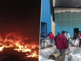 Bahadurgarh Fire News