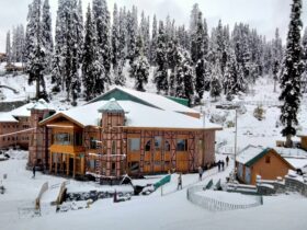 Snowfall in Gulmarg