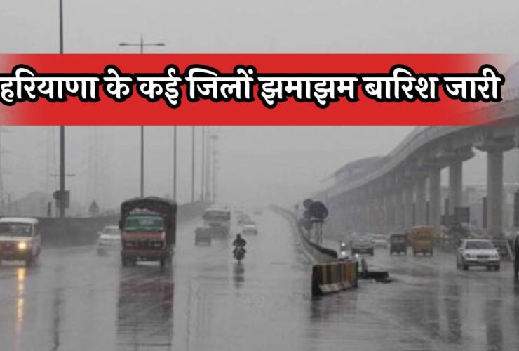 Haryana Weather Update