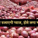 Onion price Hike