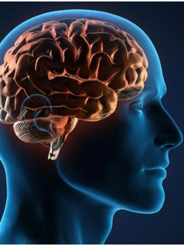 5 foods to improve memory