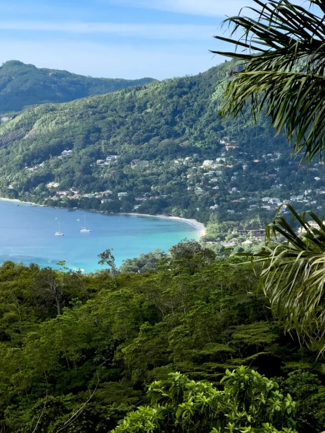Phone Free Island A unique experience of connecting with nature