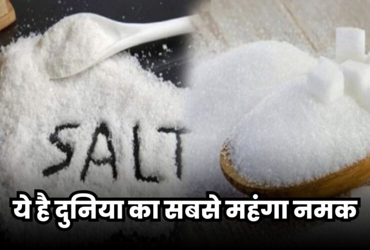 World Most Expensive Salt