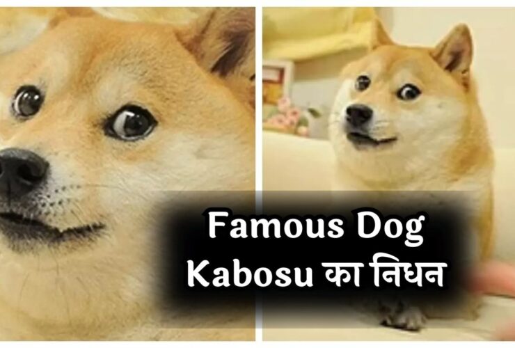 Famous Dog Kabosu का निधन