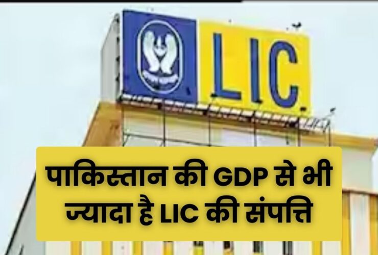 LIC Assets