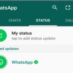 WhatsApp Status म्यूट करना: अब आप चुन सकते हैं कि आप किसका स्टेटस देखना चाहते हैं