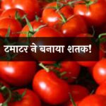 Tomato Production,Tomato Prices,Monsoon 2024,Vegetable Prices,HEATWAVE,टमाटर का रेट, मानसून, सब्जियों के रेट, प्रचंड गर्मी, बिजनेस न्यूज,