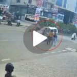 Accident Video Viral Video : कार ने महिला को मारी टक्कर, हवा में उछल कर दूर जा गिरी, देखें खौफनाक वीडियो