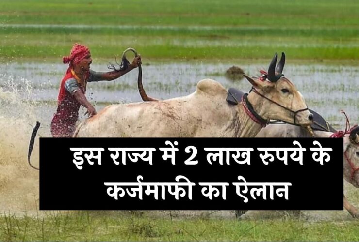 Announcement Of Loan Waiver: किसानों के लिए खुशखबरी! इस राज्य में 2 लाख रुपये के कर्जमाफी का ऐलान