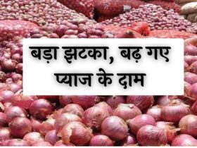 Onion Price Hike: बड़ा झटका, बढ़ गए प्याज के दाम, देखें नए रेट