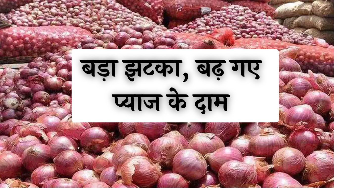 Onion Price Hike: बड़ा झटका, बढ़ गए प्याज के दाम, देखें नए रेट