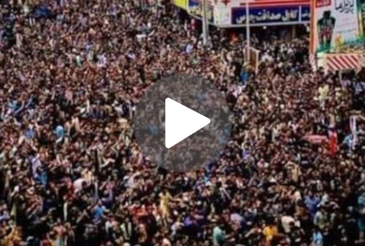 Afghan Fans Celebration Video : अफगानिस्तान में सड़कों पर आए लोग, जश्न का माहौल, देखें वीडियो 