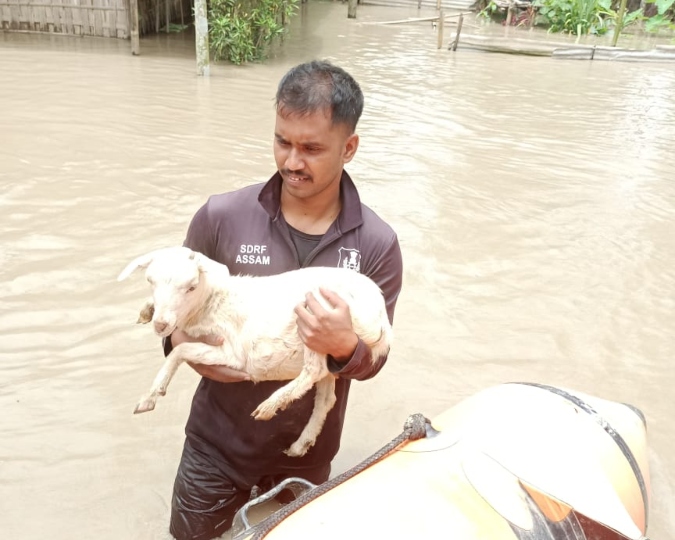 Assam Flood 2024